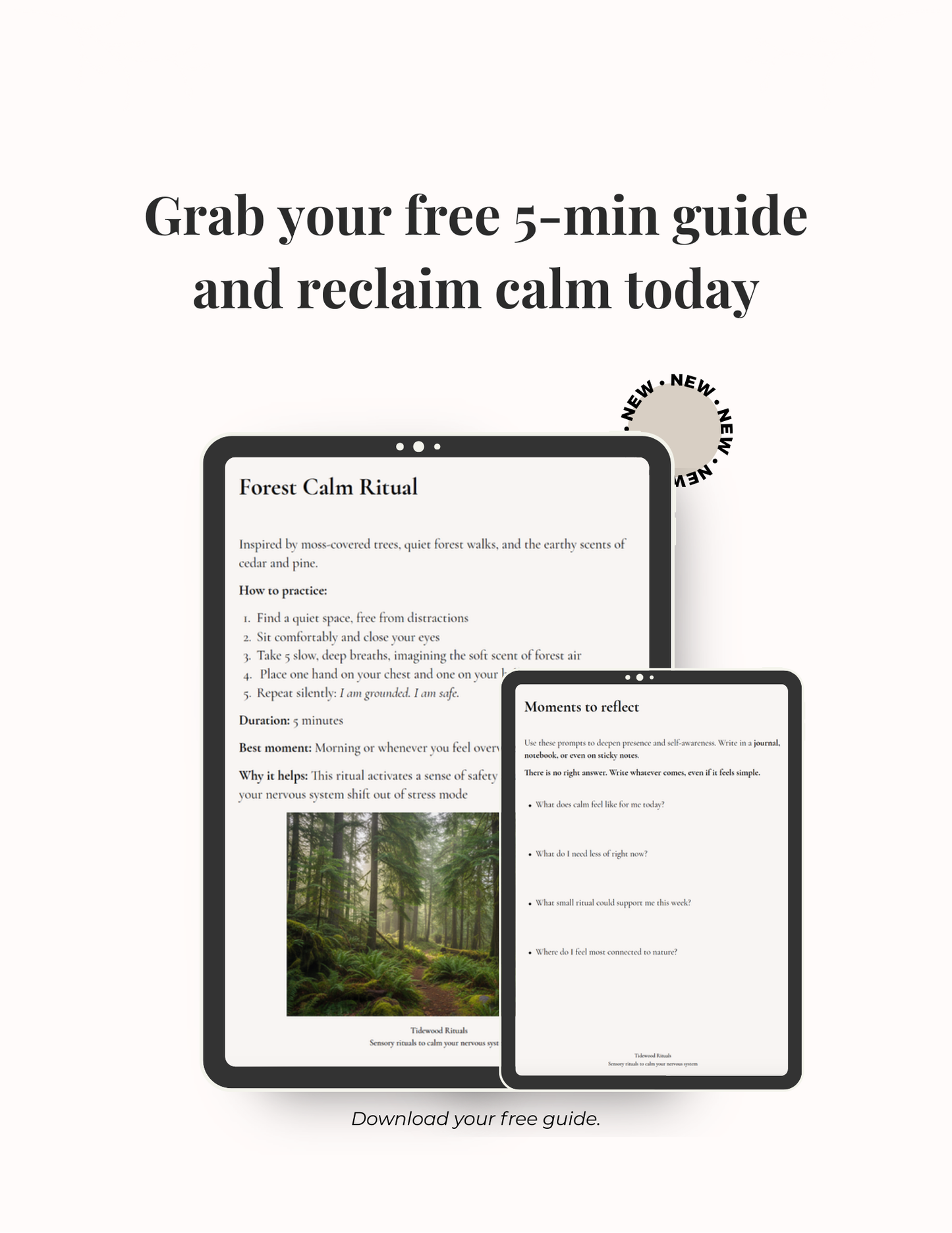 Reset Ritual Guide + 3-min Audio (Free)